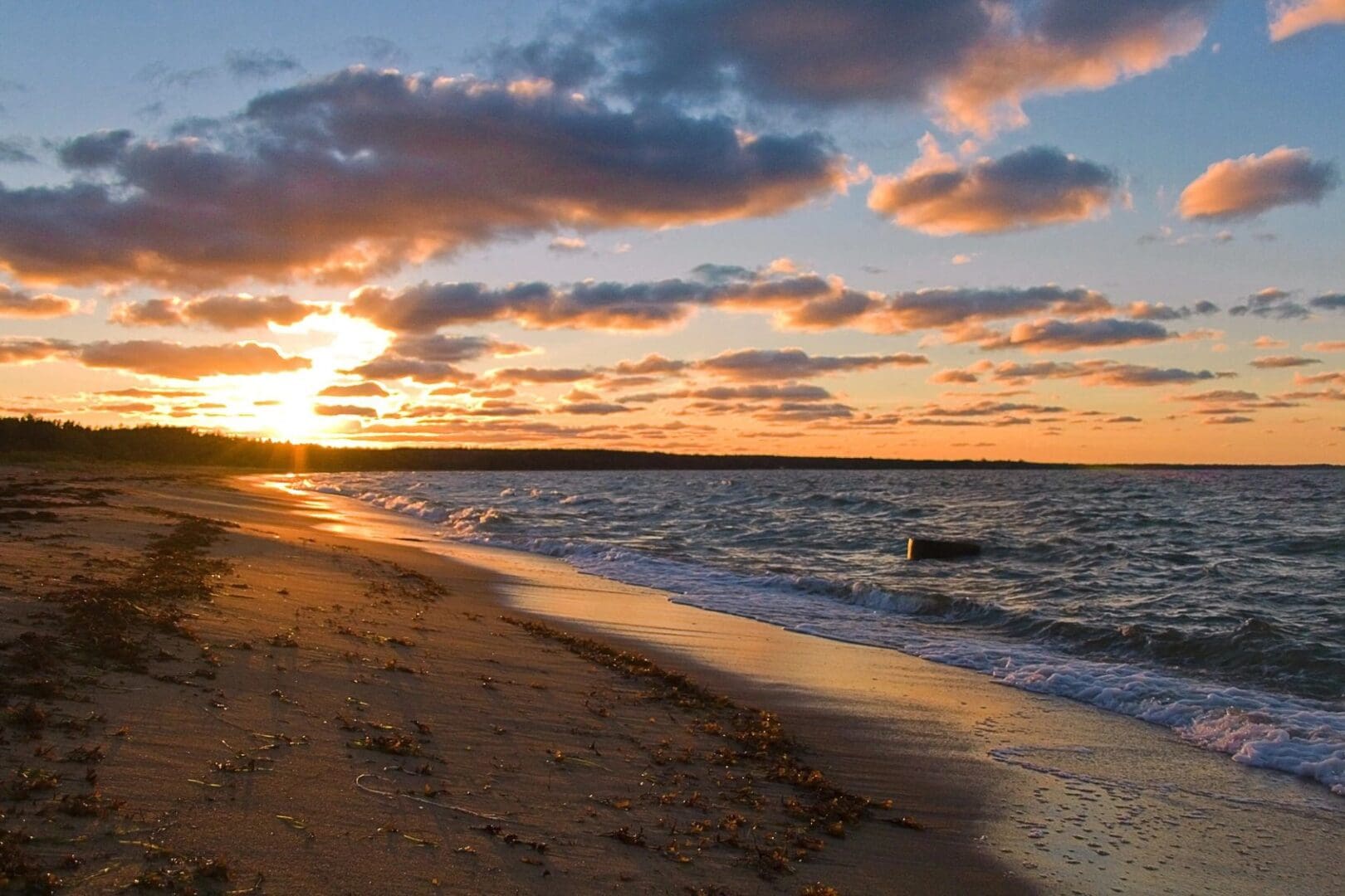 A beach with the sun setting in the background.