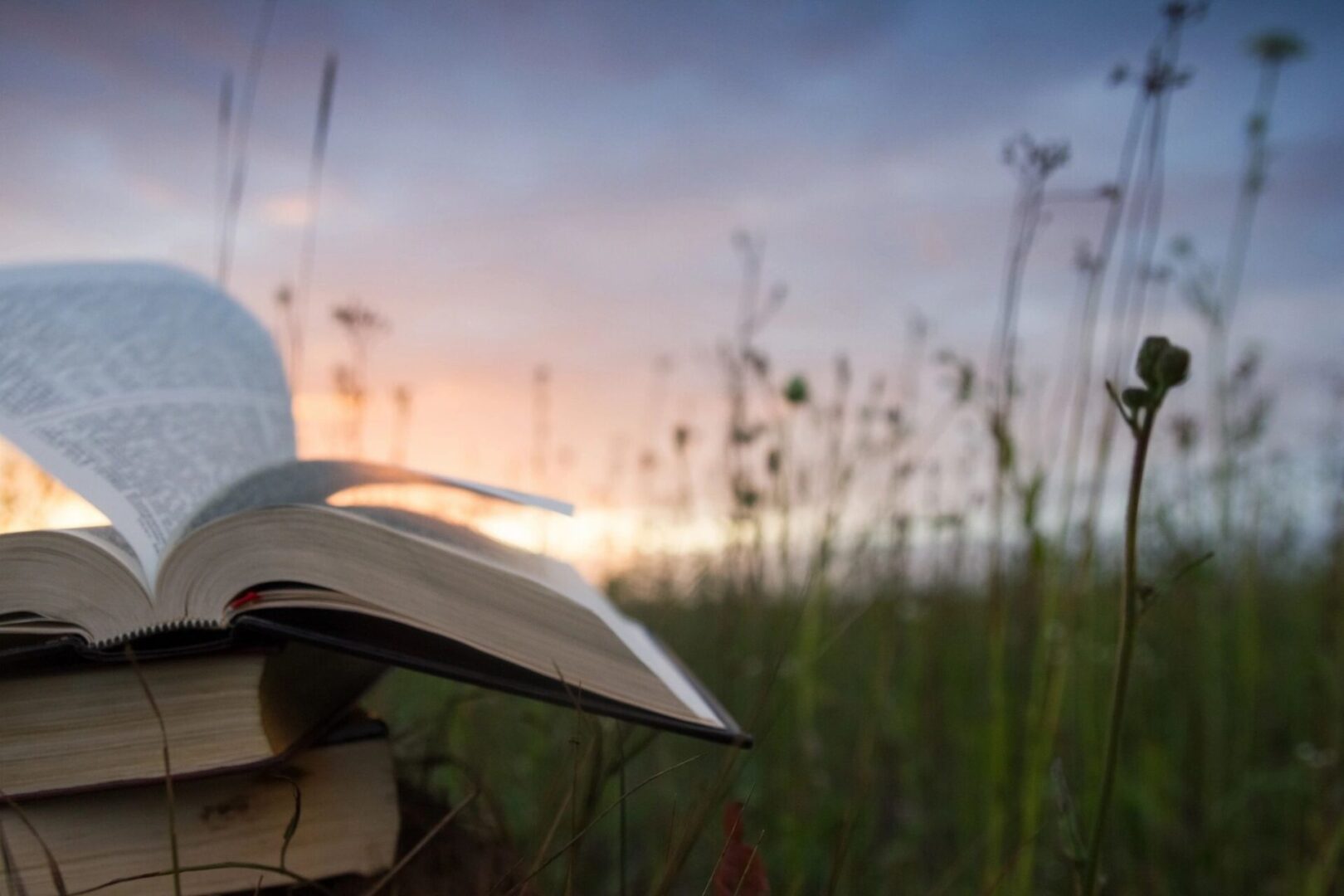 A book is open in the grass at sunset.